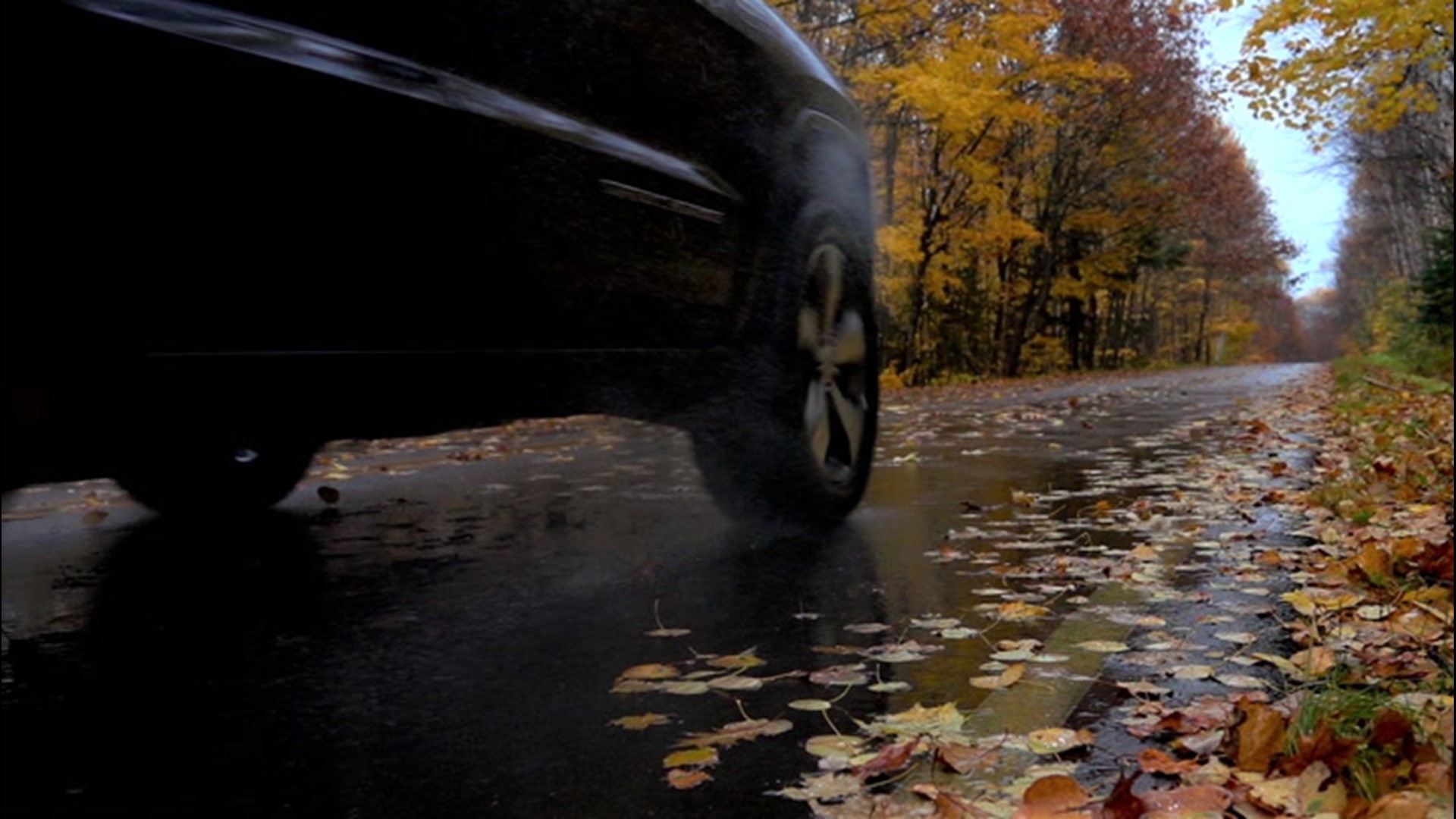 Autumn leaves are beautiful to watch as they fall to the ground, but once they are there, they can be dangerous to drive on, especially when it rains.