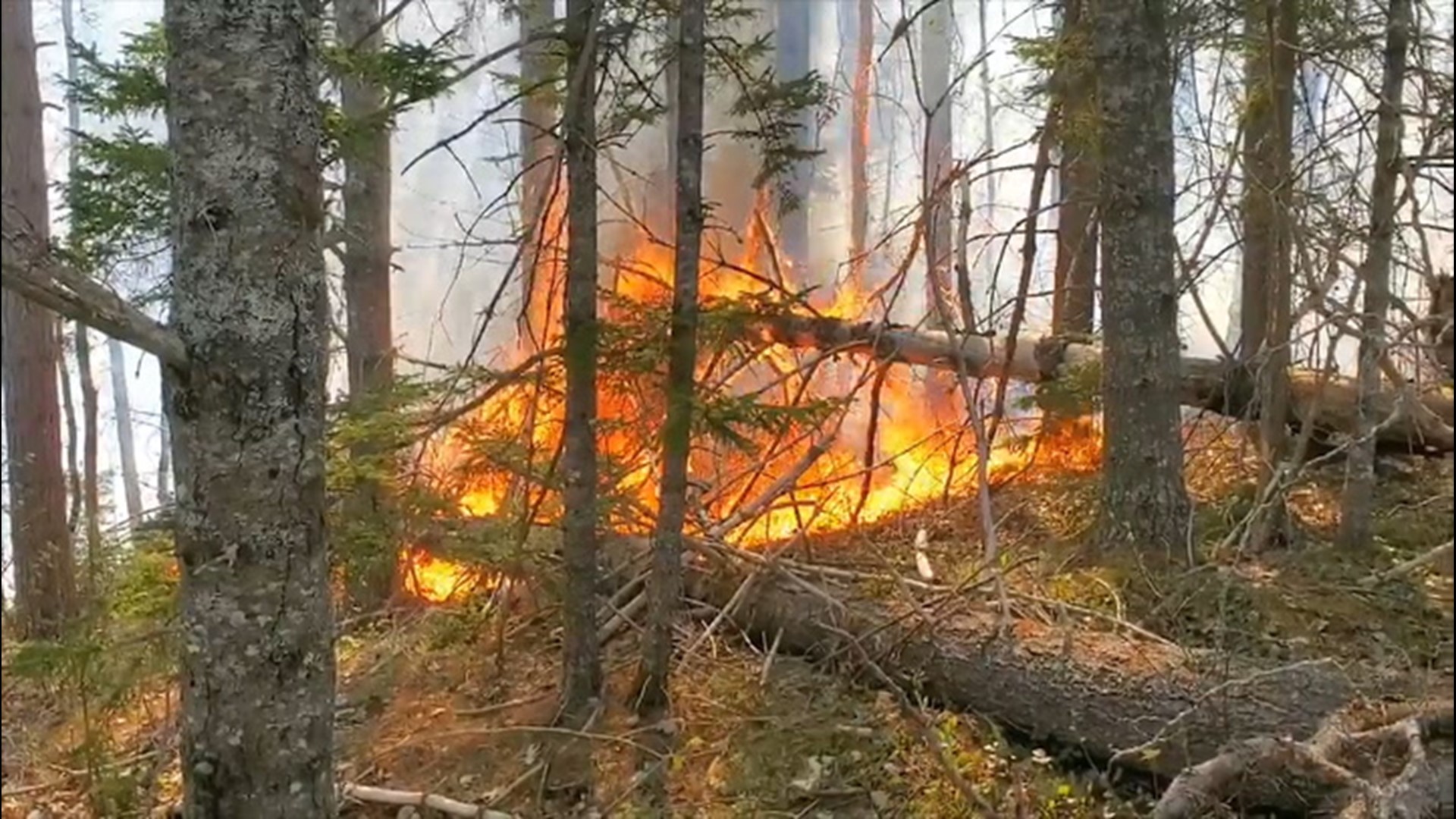 Multiple wildfires burning in Maine, including this fire in Baxter State Park, triggered a red flag warning on May 21.