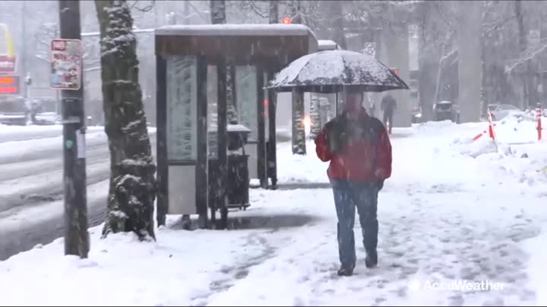 Recordbreaking snow brings Seattle area to standstill