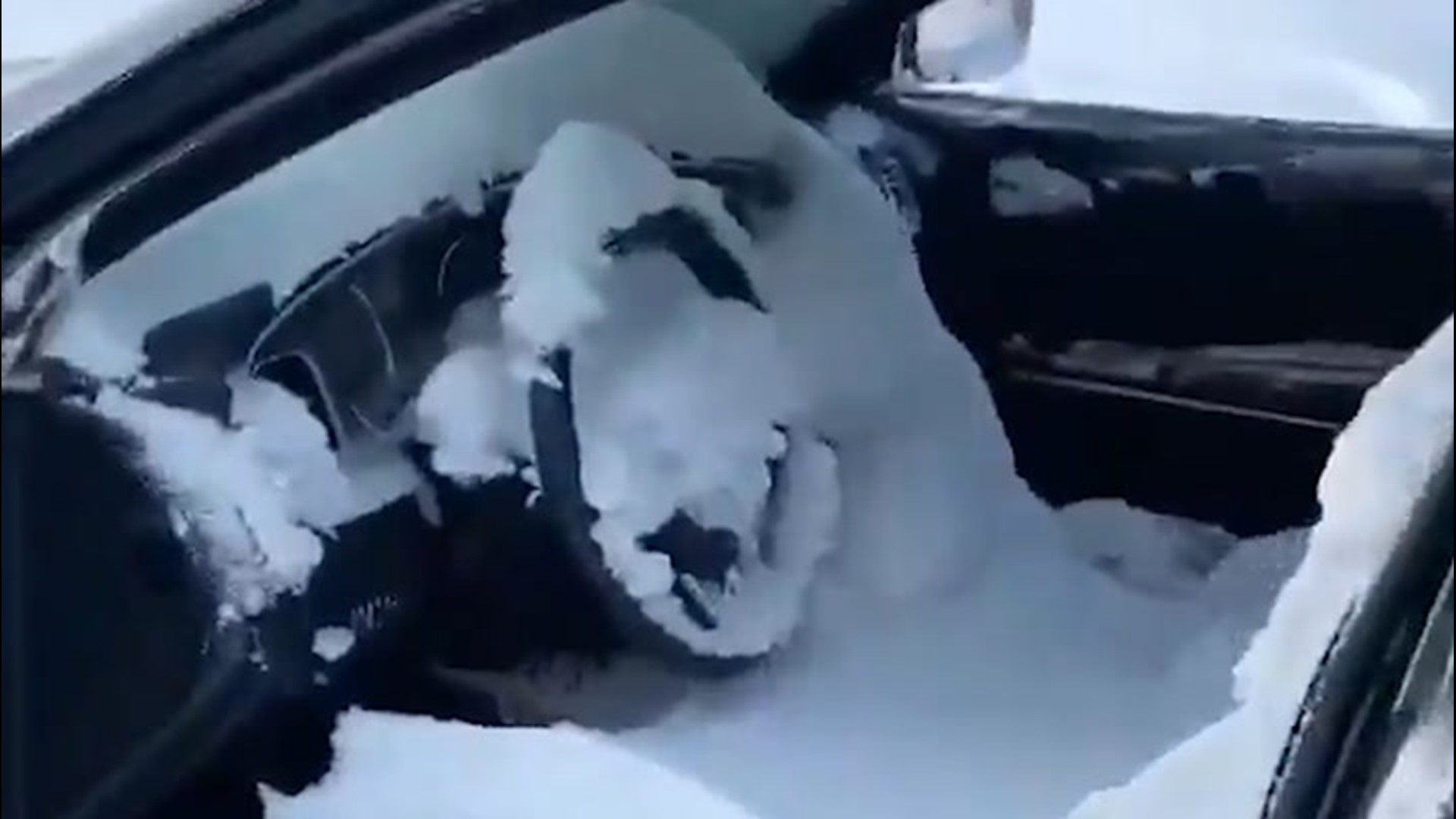A Newfoundland woman was surprised when she looked out after a record-breaking snowstorm and saw no snow on her car. Her questions were answered when she noticed the windows were down.
