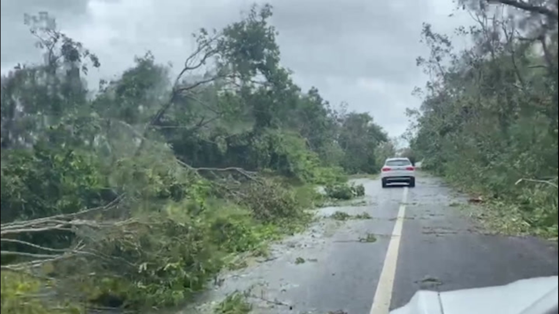 Storm chaser Reed Timmer reports the latest impacts of Hurricane Delta from Mexico's Cancun region on Oct. 7. Trees and power lines are among the damage.