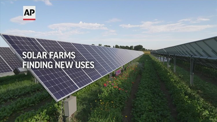Solar farms finding new uses