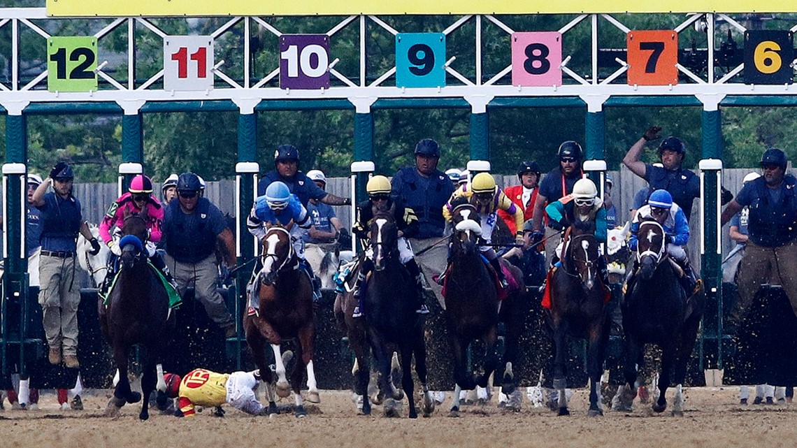 Riderless horse finishes Preakness Stakes race without jockey