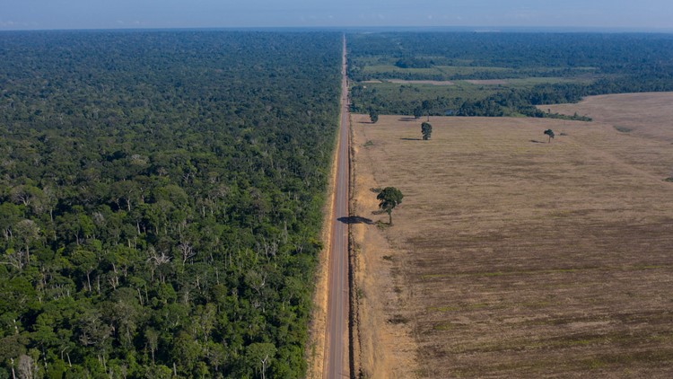 Brazil's Amazon deforestation surges to worst in 15 years