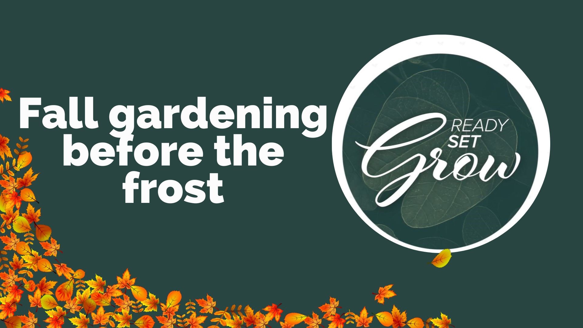 Come preparare i tuoi giardini e le tue piante per il freddo e il gelo, oltre a suggerimenti per pulire le foglie dai cortili e la scienza dietro il fogliame autunnale.