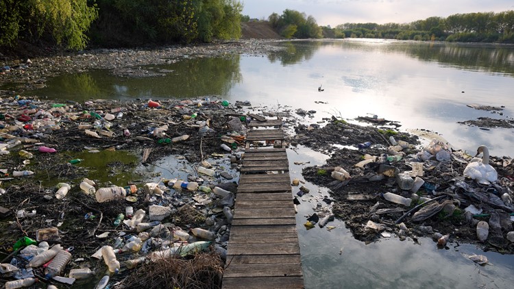 Earth is 'really quite sick now' and in danger zone in nearly all ecological ways, study says