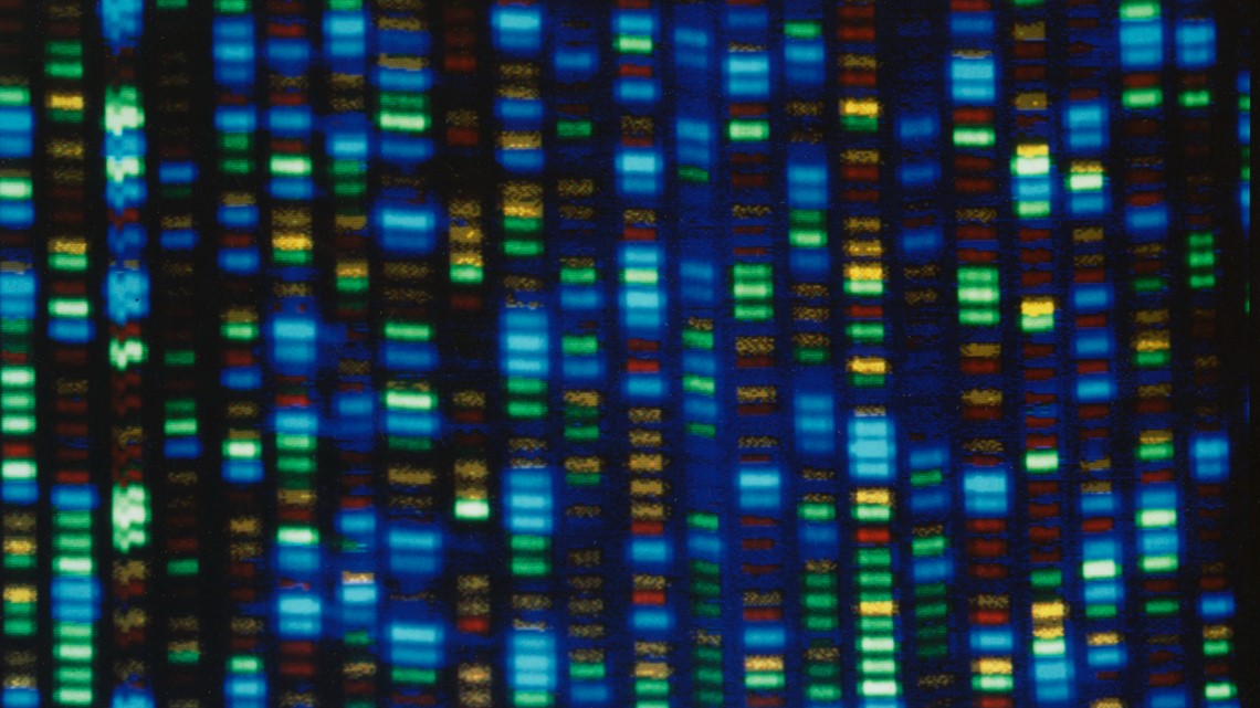 Human genome decoded fully | kcentv.com - Vimarsana News