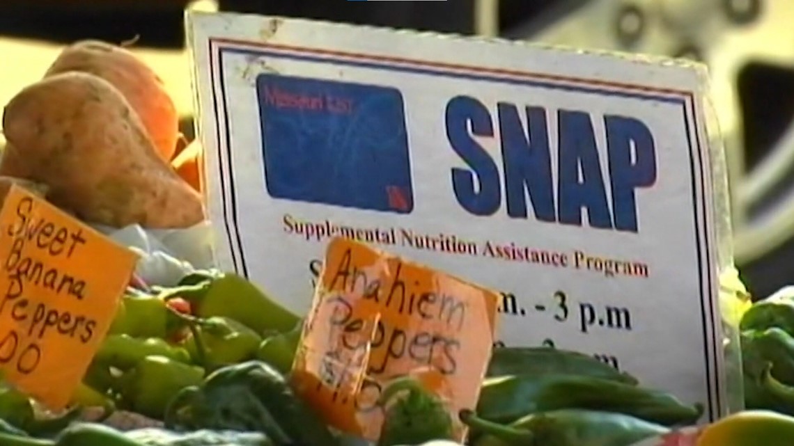 Texas News | SNAP benefits and college food pantries - Vimarsana News