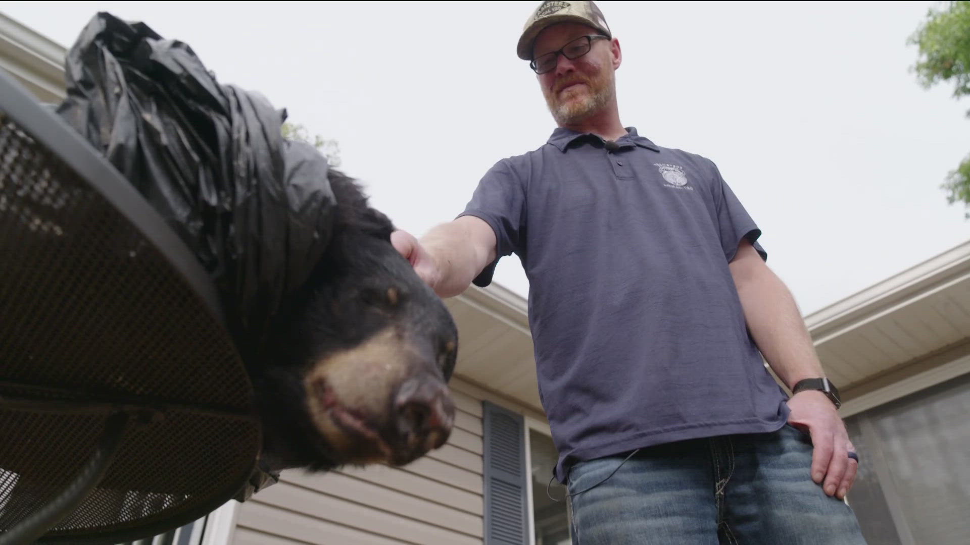 Ryan Beierman says his son, Owen, shot the 200-pound bear during a hunting trip near Siren, Wisconsin.