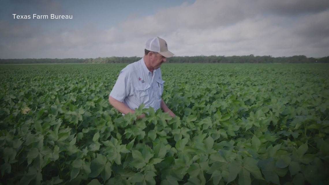 Texas News | Why farmers are advocating for Prop 1 - Vimarsana News
