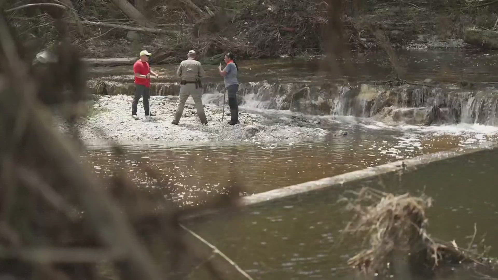 Student loan interest for SAVE - 04097630 67a5 4da8 871e 9e6035c6cbc9 1920x1080 