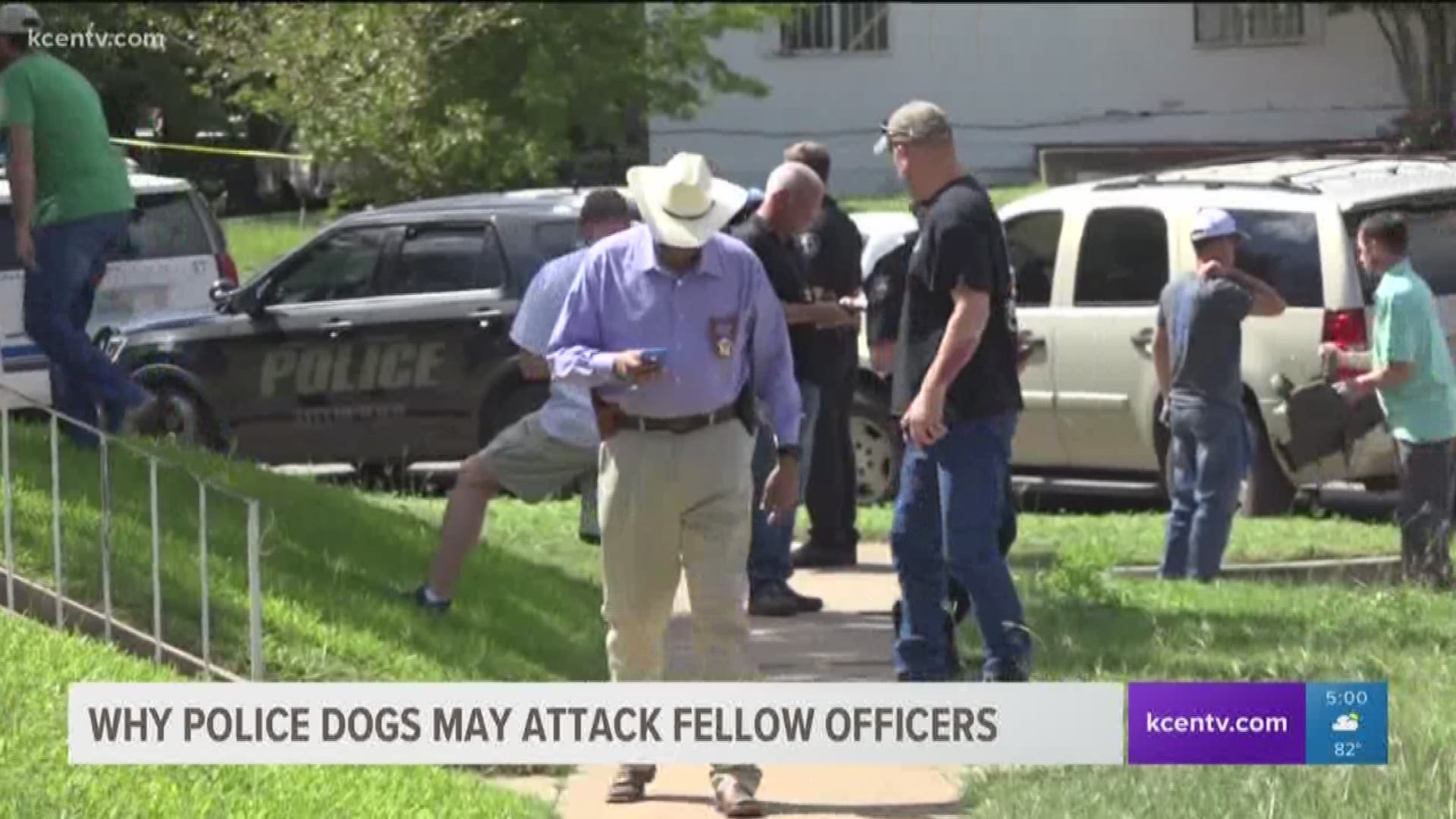 Handler orders detective to shoot K9 during attack in Waco