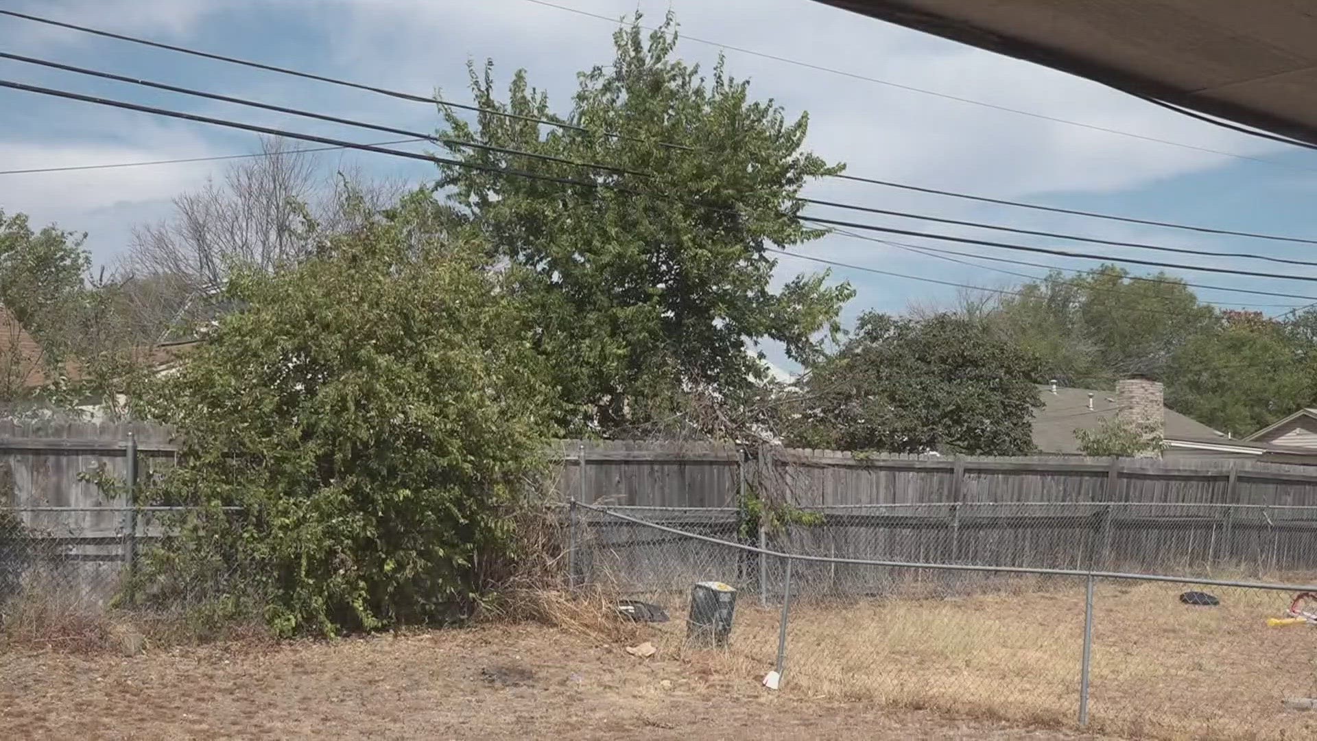 6 Fix takes a look at who is responsible for cutting back tree limbs on power lines in Killeen.