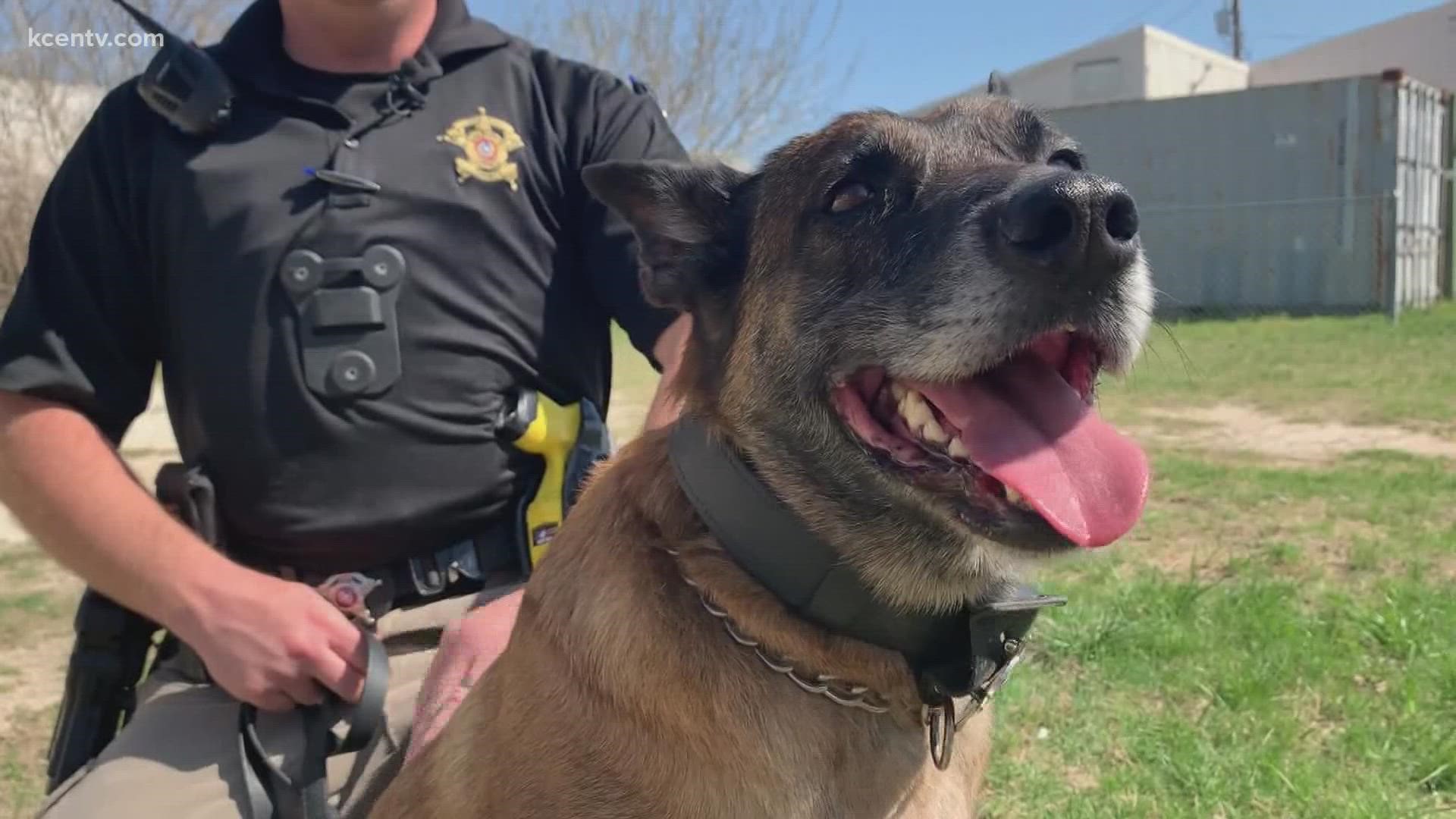 Killeen Police K9s Receive Body Armor Donation