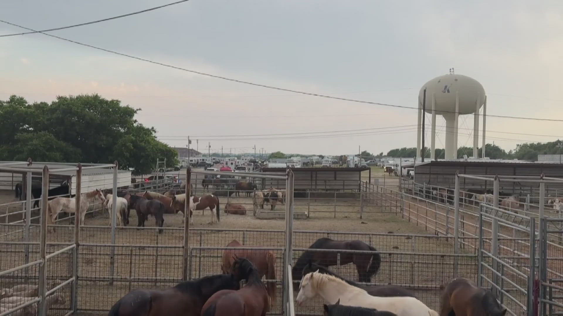 Reporter Julieanna Jackson was in attendance at the rodeo.
