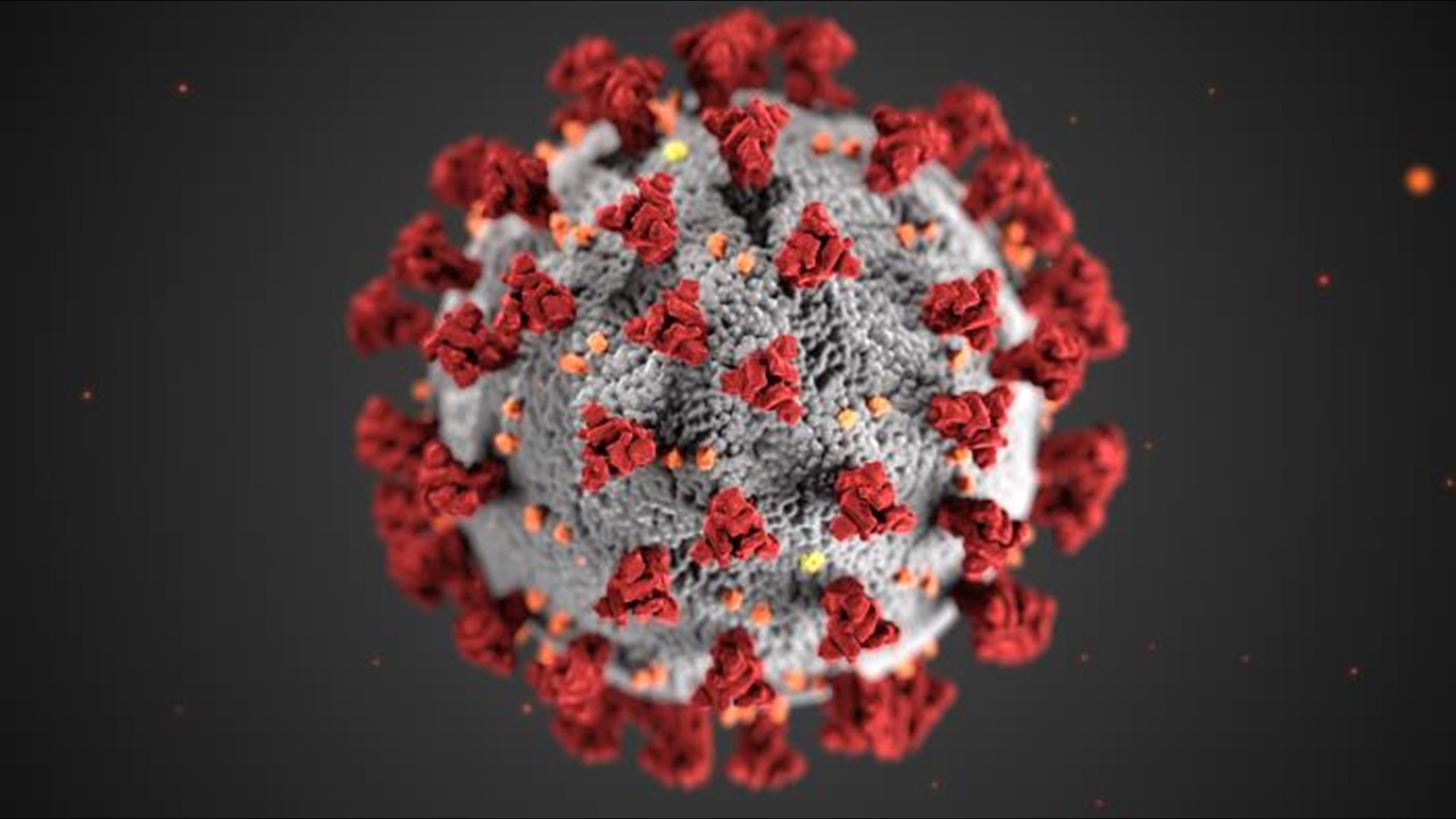 The CDC said it has ramped up analysis of the new virus strain after cases have started popping up in the U.S.