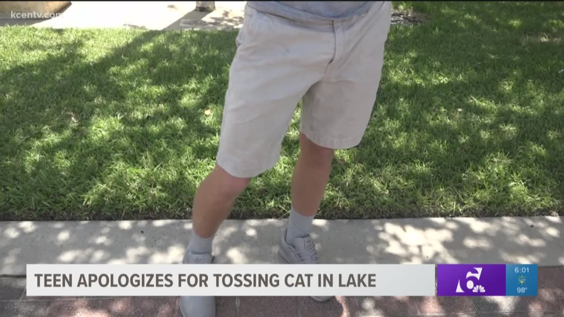Teen apologizes for cat incident