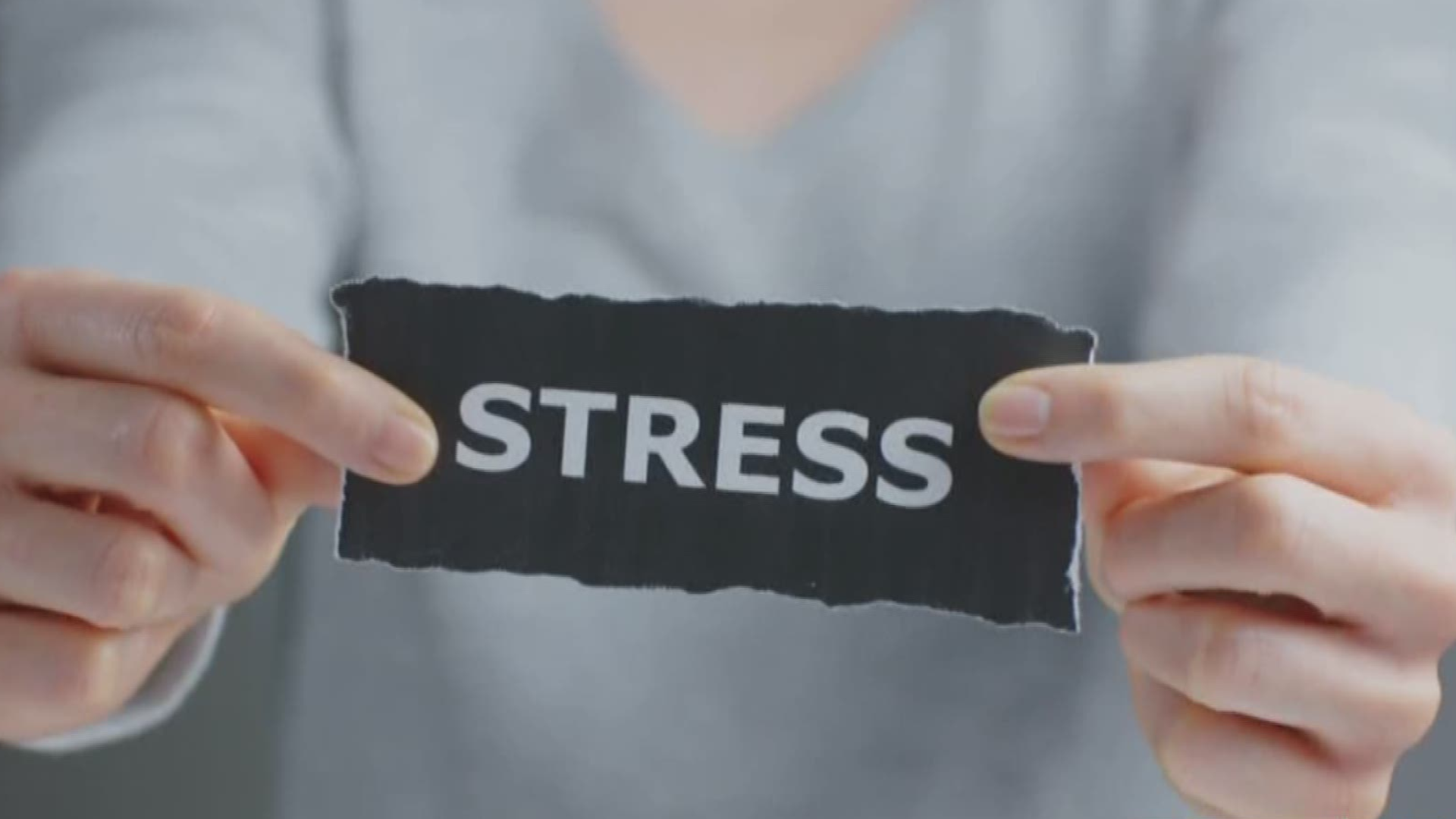Leslie Draffin sits down with a Temple doctor to learn how stress affects us and how we can help alleviate it.