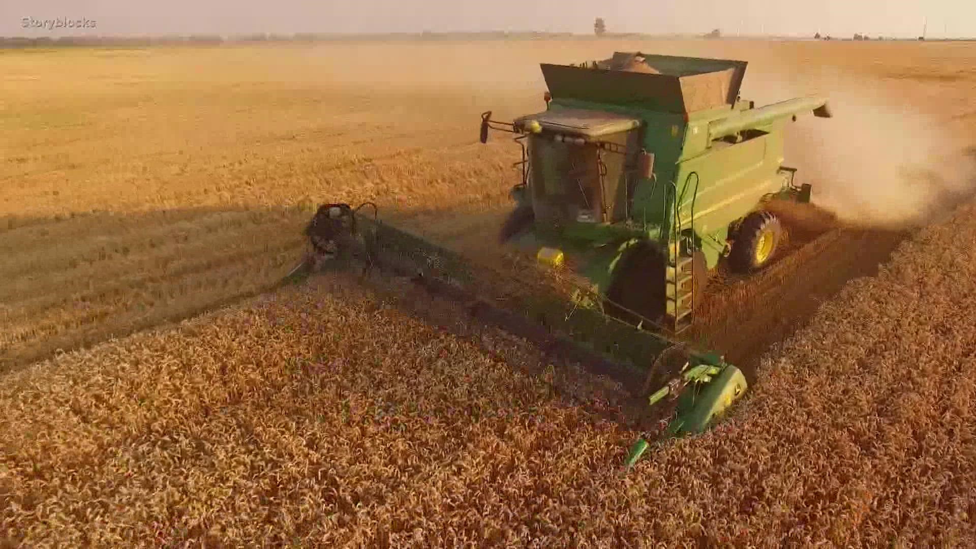 After a man was killed by machinery in Rosebud, farmers discuss ways to stay safe on the job.