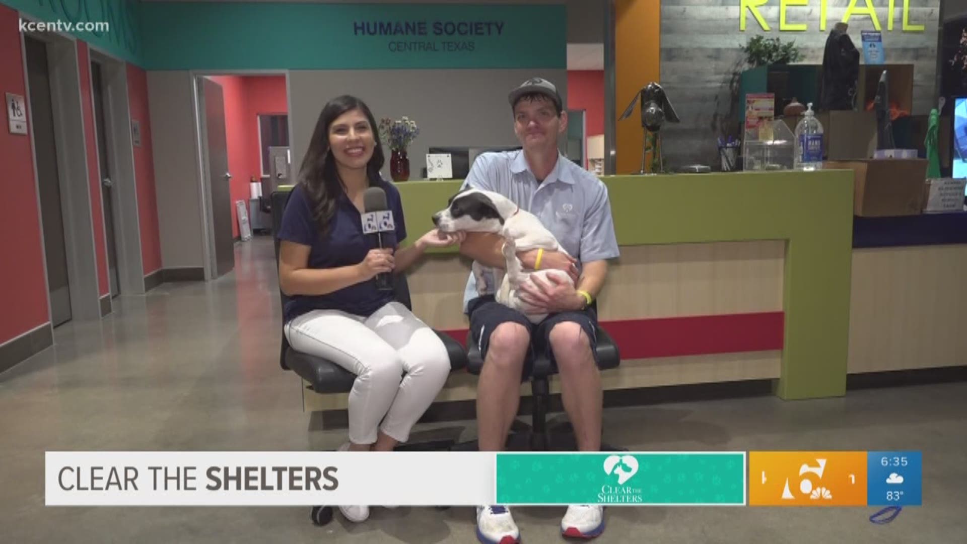 Clear the Shelters is back! The Humane Society of Central Texas is offering free pet adoptions Saturday.