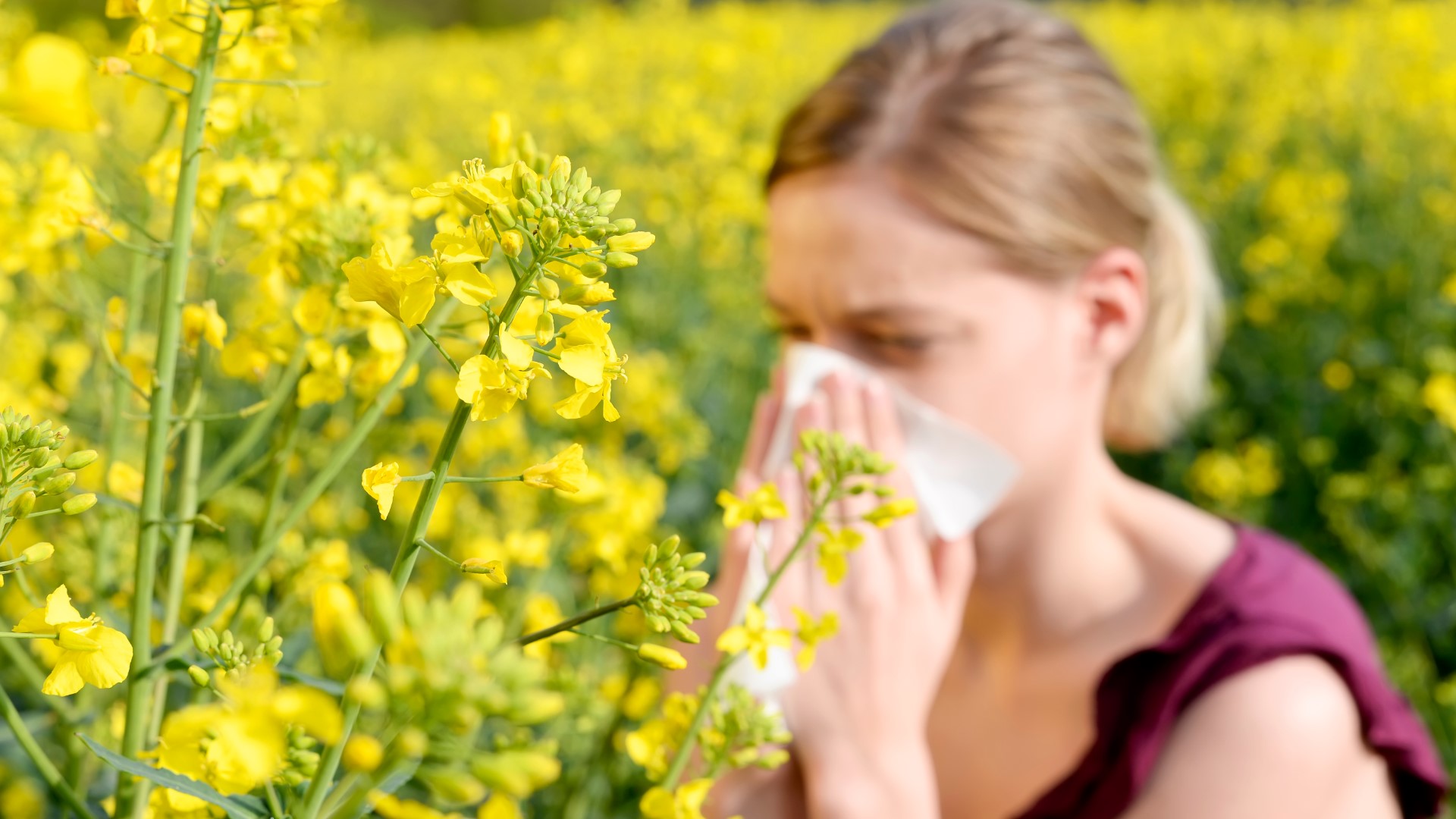 Meagan Massey and Zac Scott tell us why allergies are so bad in CenTex and what we can do about it.