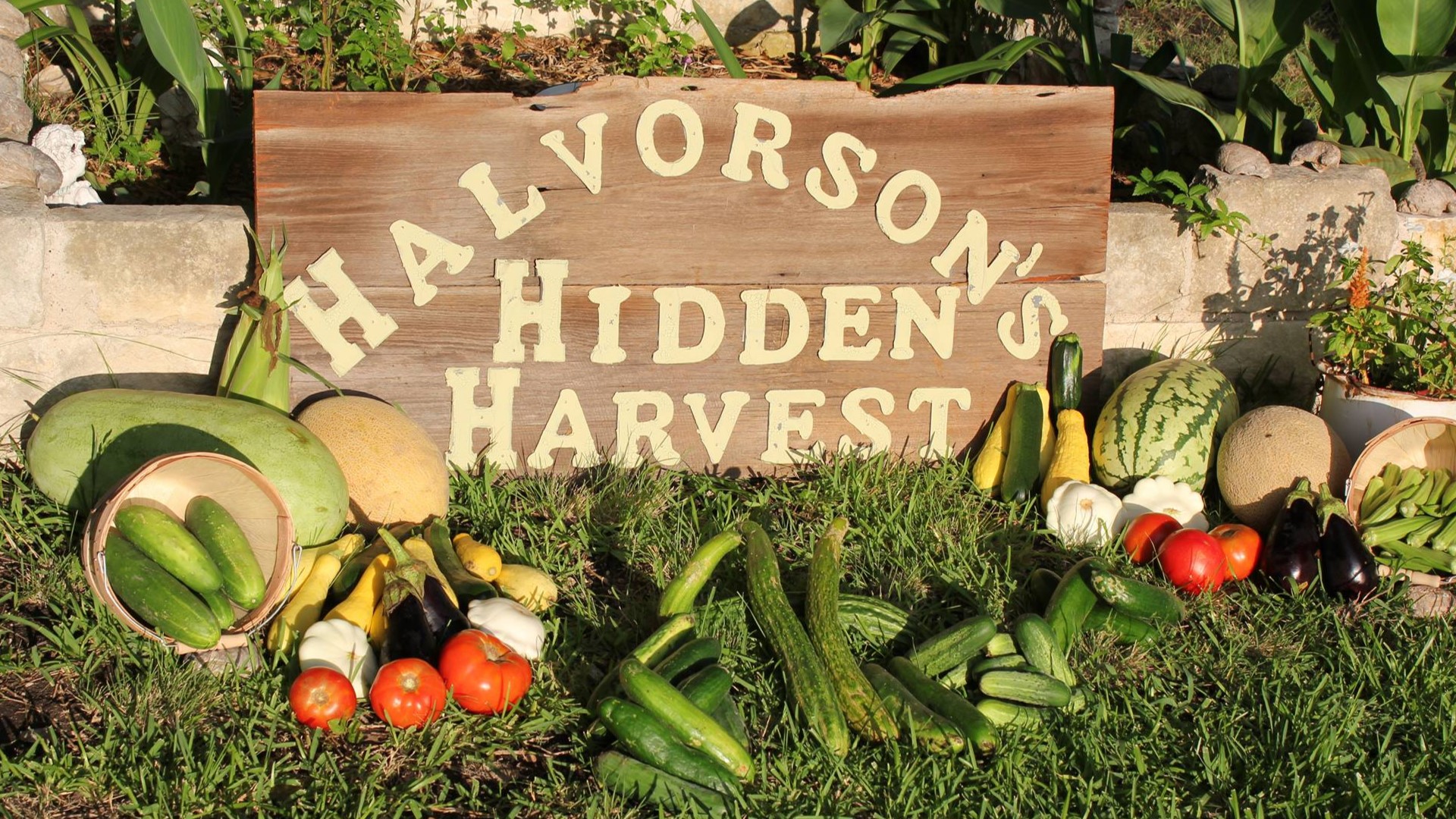 Halvorson's Hidden Harvest in Bell County is changing their ways of selling harvest to keep their business going.