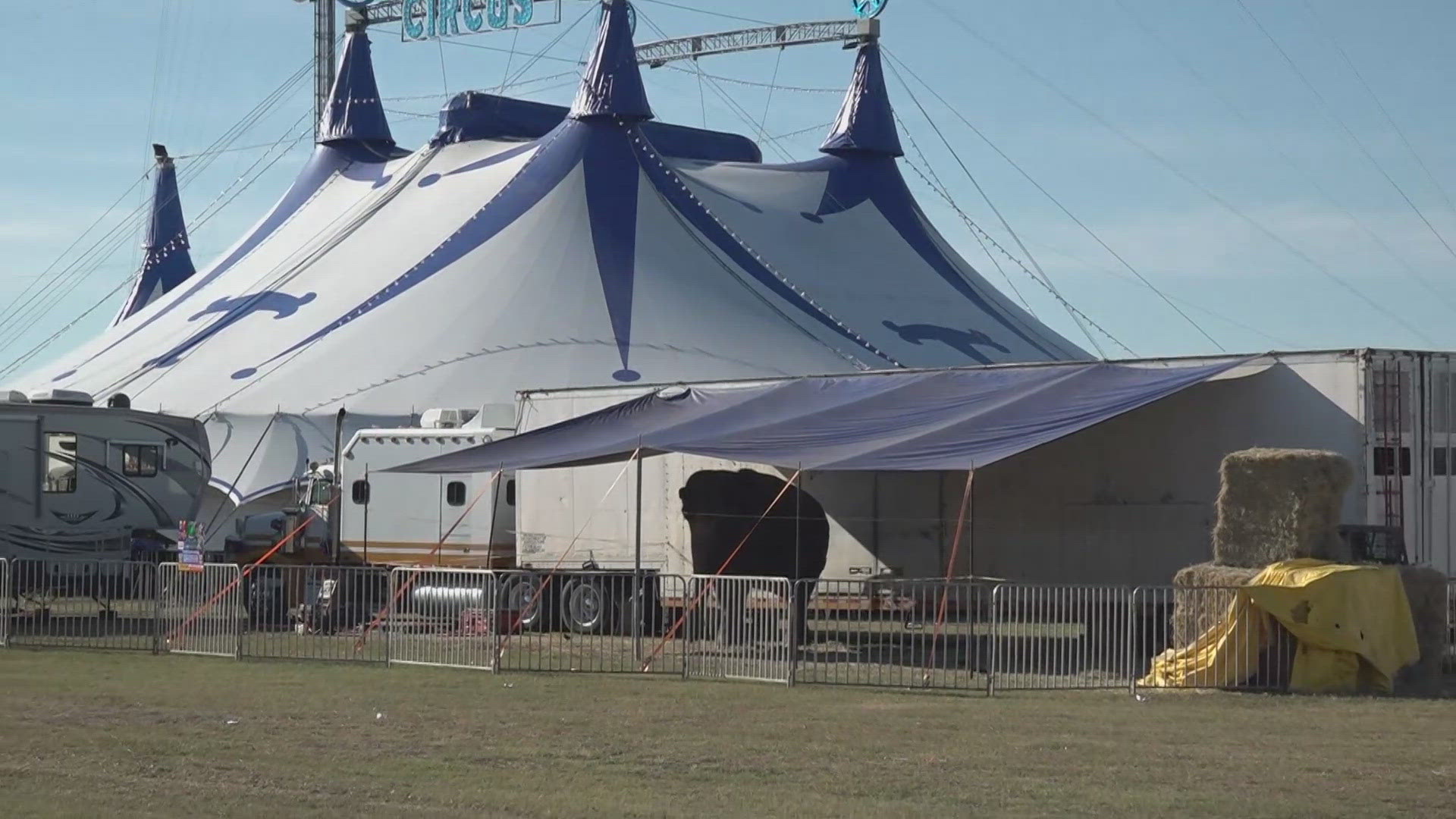 A post in the What's Up WACO Facebook group criticized Okha's temporary enclosure. The post generated engagement, leading to a online petition