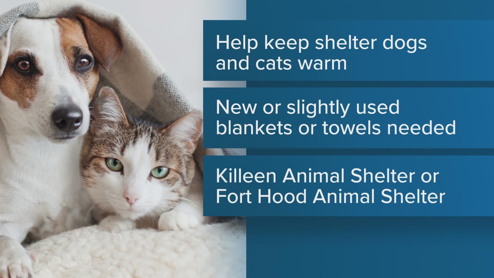 Killeen Animal Shelter needing blanket, towel donations 
