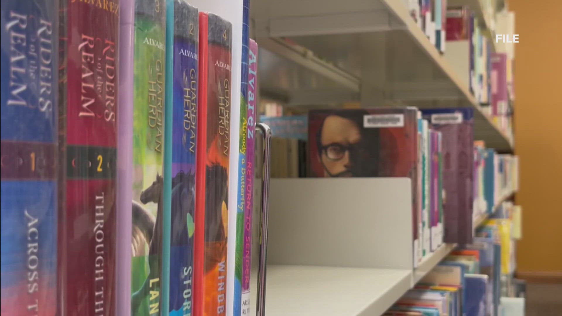 The Board voted two to three against creating the council, voting instead to give the Board final say on what books will be accepted in school libraries.