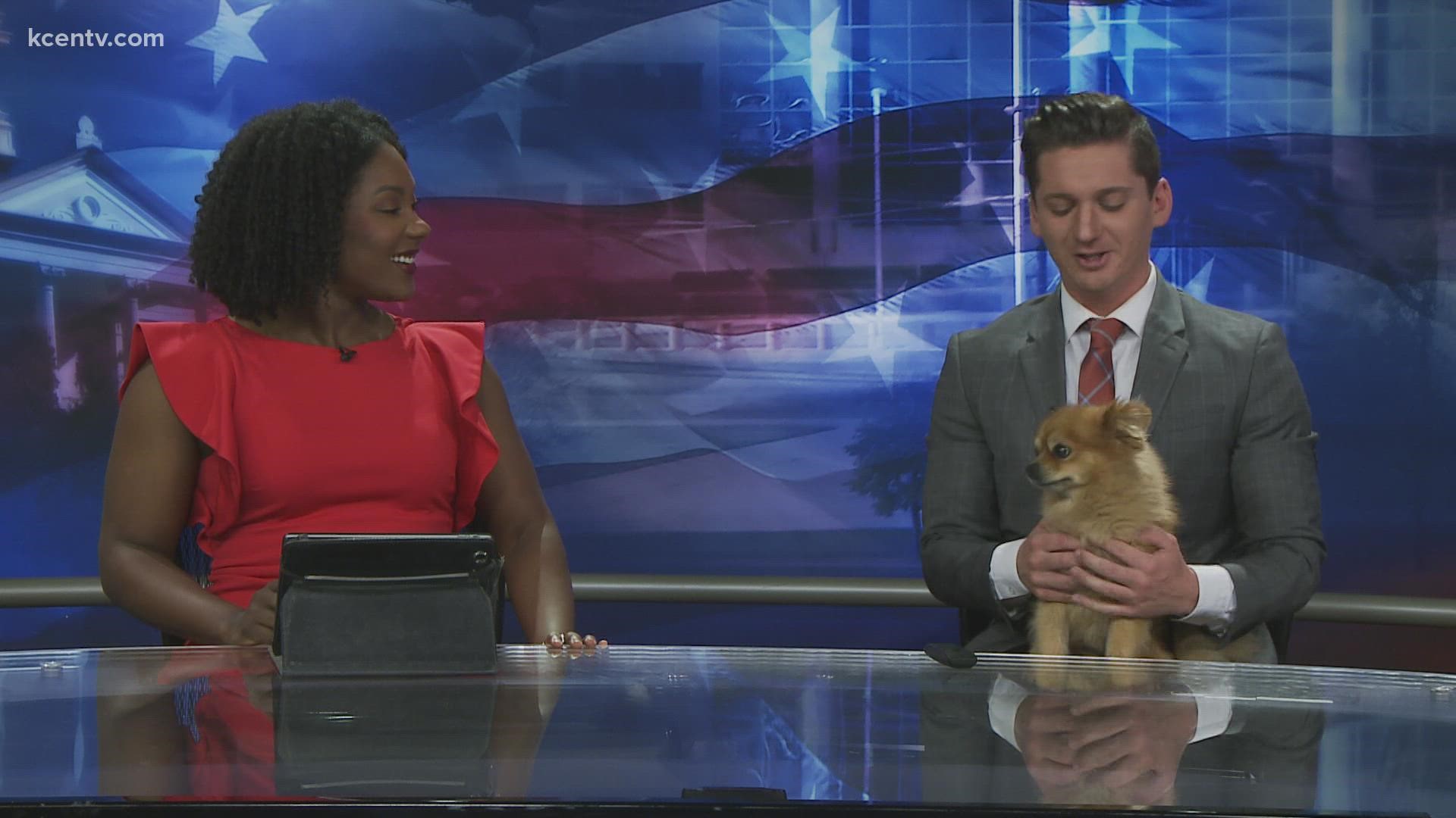Texas Today crew sings the latest trending "Who Said This" and are joined by a cute furry friend on set.