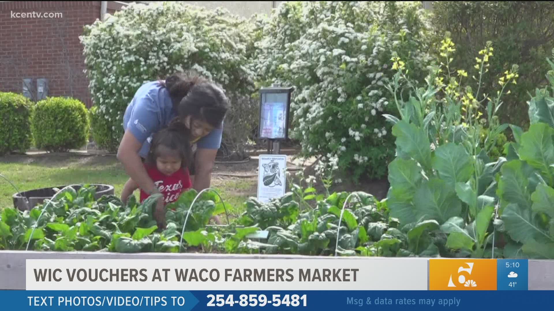 Waco's downtown Farmers Market will offer vouchers to families who participate in the WIC program.