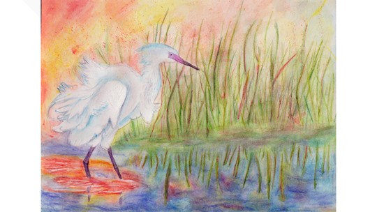 Treasures of Texas Coast Children's Art Contest winners chosen | kcentv.com