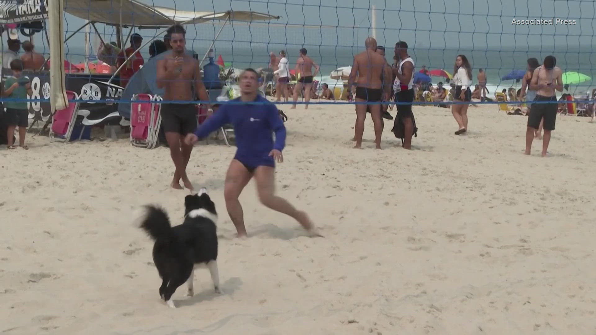 Floki is a 3-year-old Border Collie that has become a sensation along the beaches of Rio.