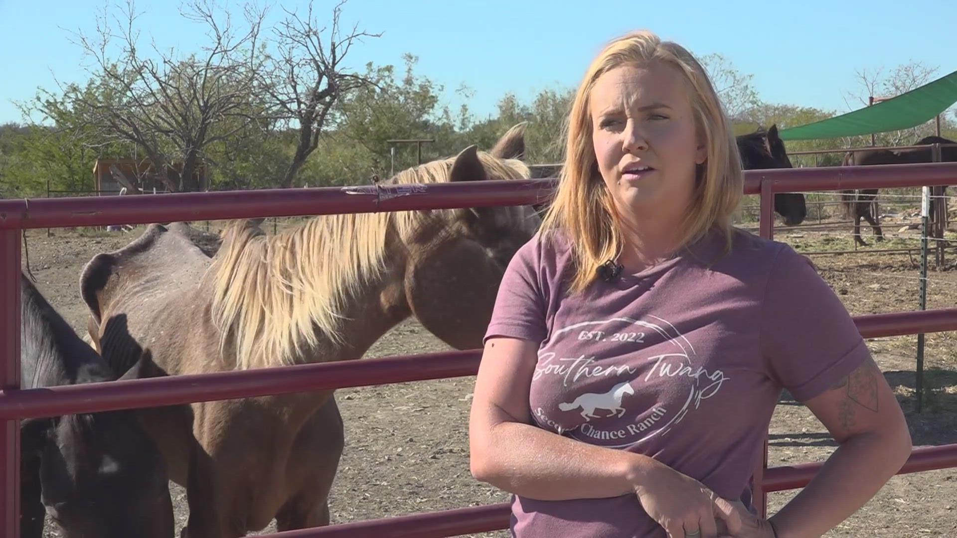 One Central Texas woman helping save horses of all shapes and sizes.