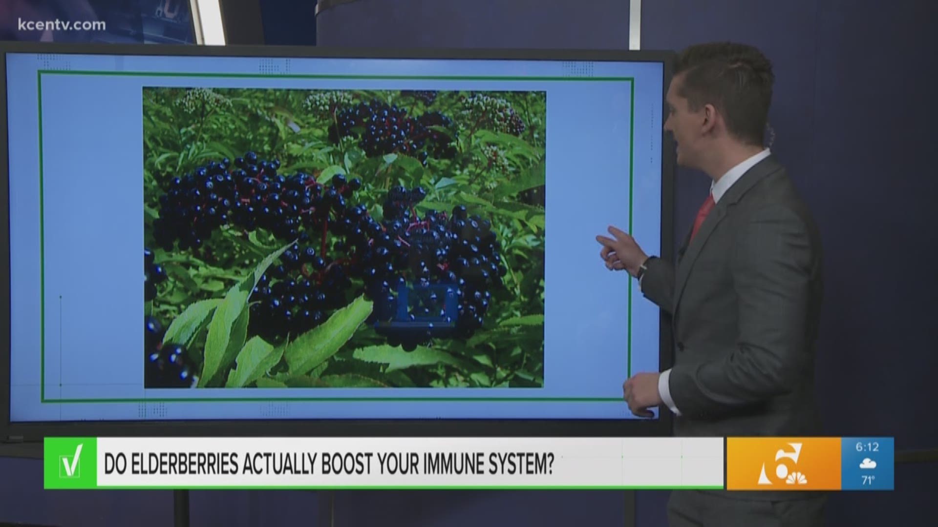 During flu season, you may want to know what remedies keep you from feeling under the weather. Chris Rogers learned more about elderberries to verify if they boost your immune system.