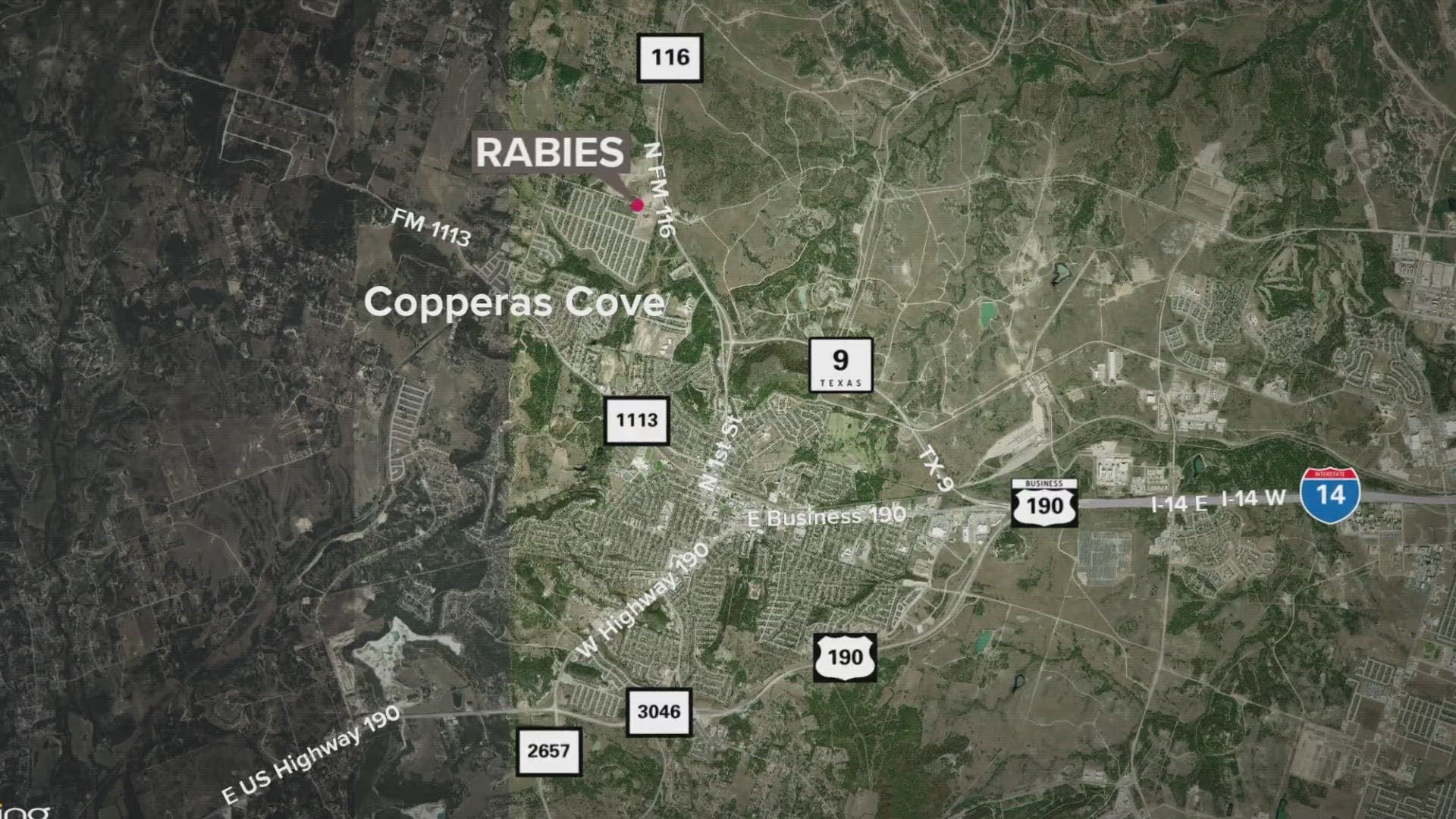 Rabies confirmed in bat that bit person in Copperas Cove, Texas