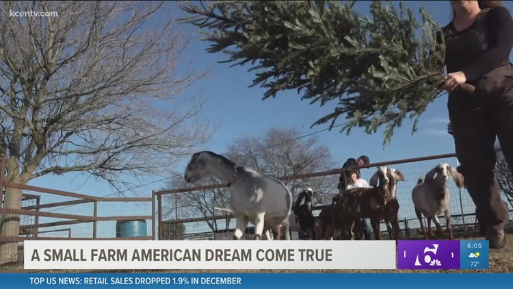 A small American farm dream come true