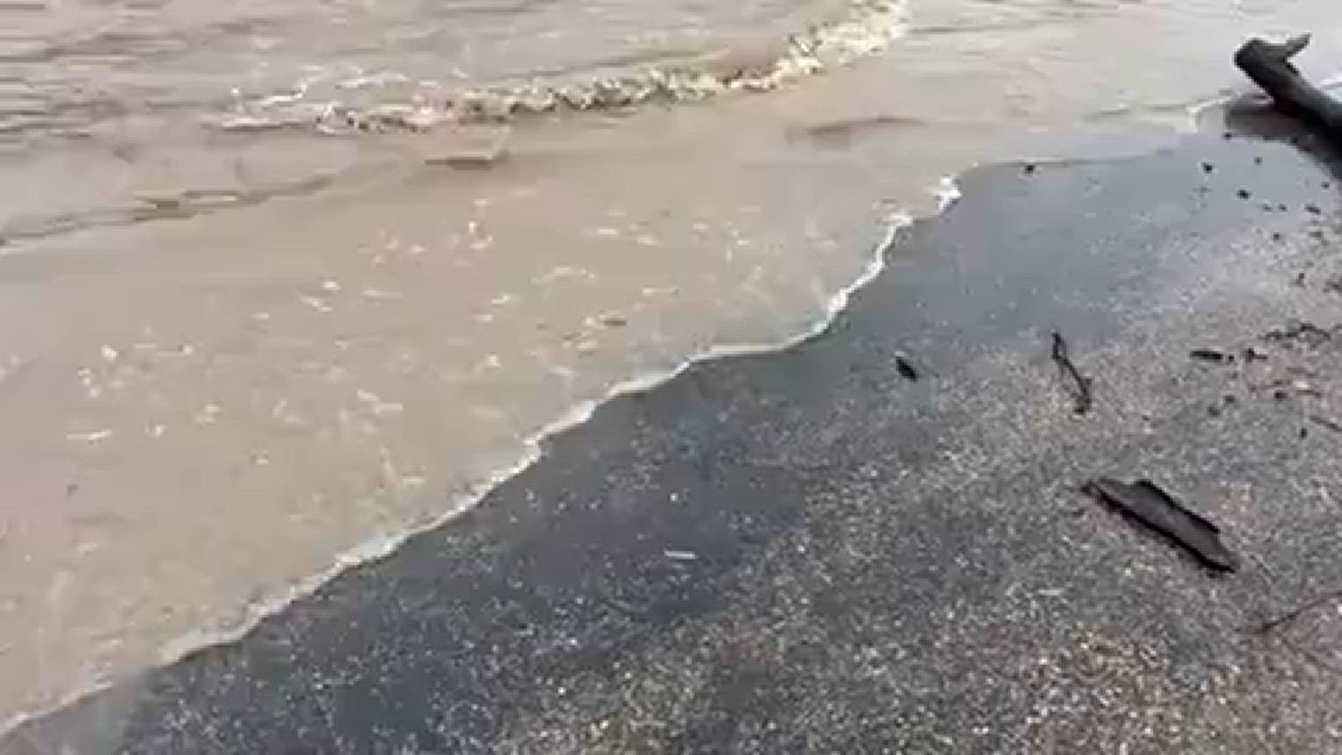 Nolan Creek in Belton flooding after heavy rain.
Credit: Rocky bridges