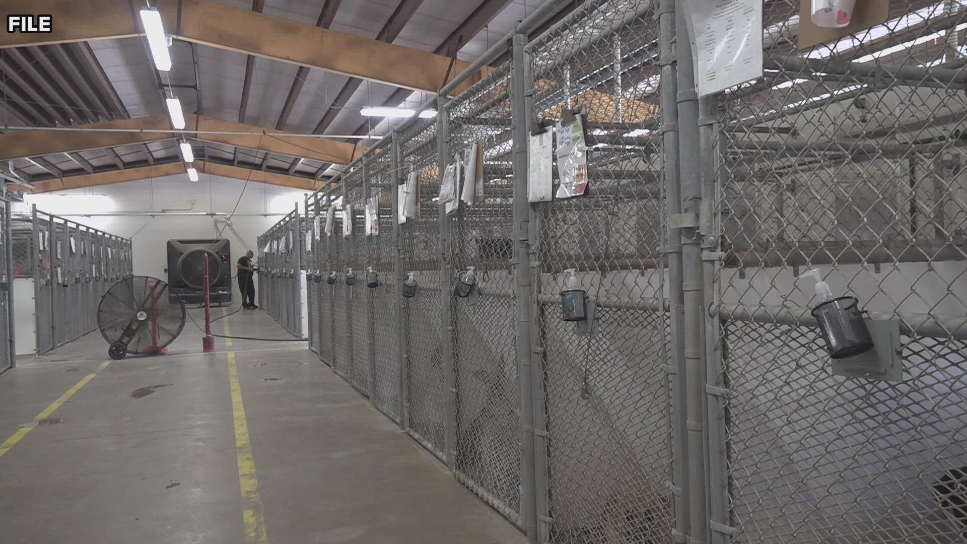 Animal advocates have been pushing for the position for weeks.