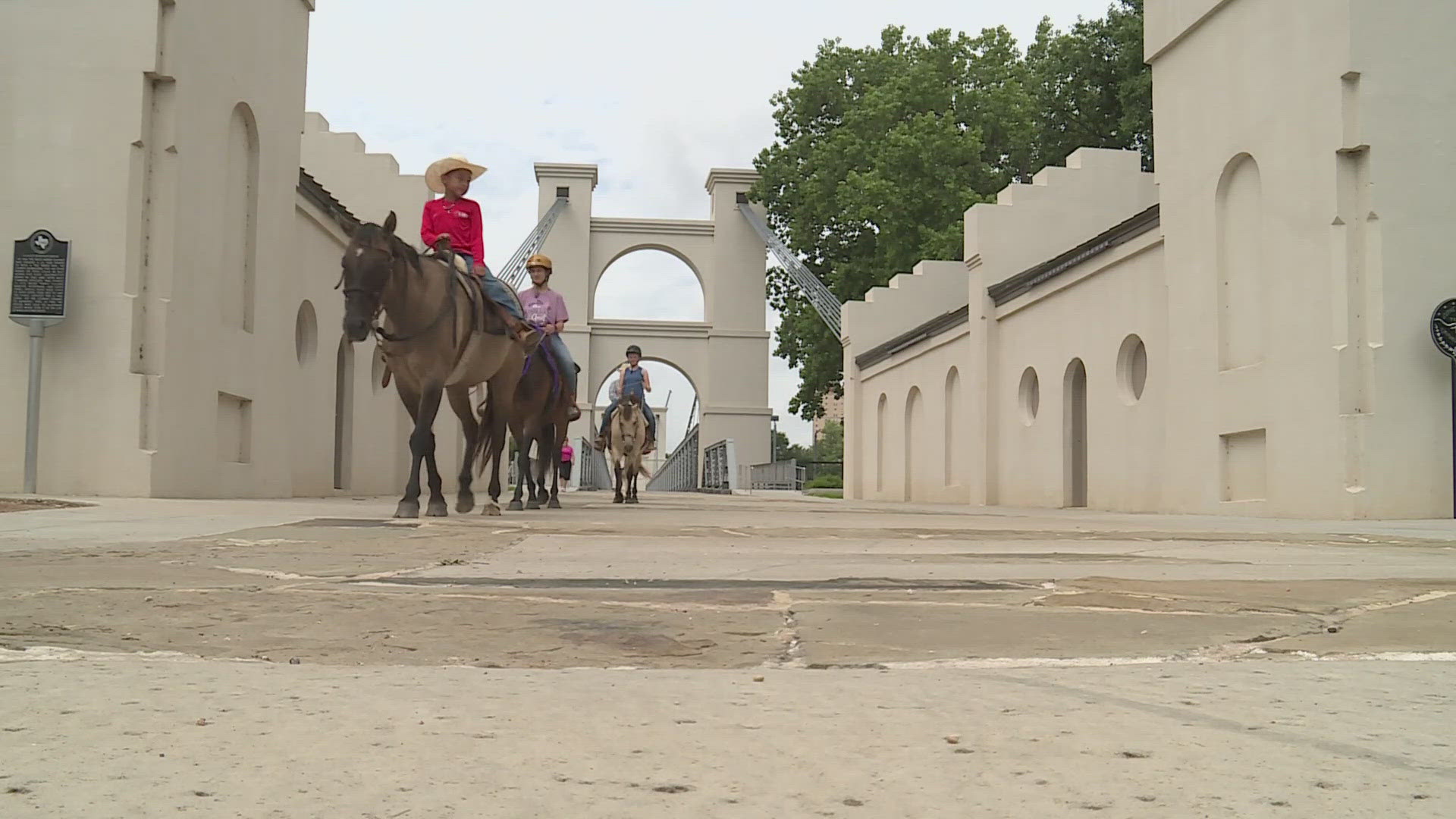 K-Bible's Guided Trail Rides offers tours right through downtown Waco, with views of historic sights.