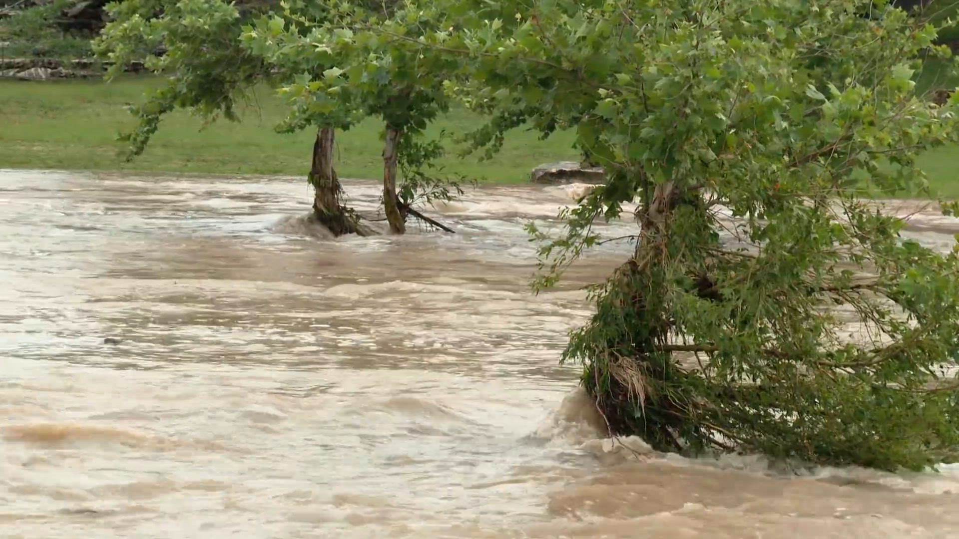 Environmental groups reach settlement for reduced wastewater discharge into Salado Creek