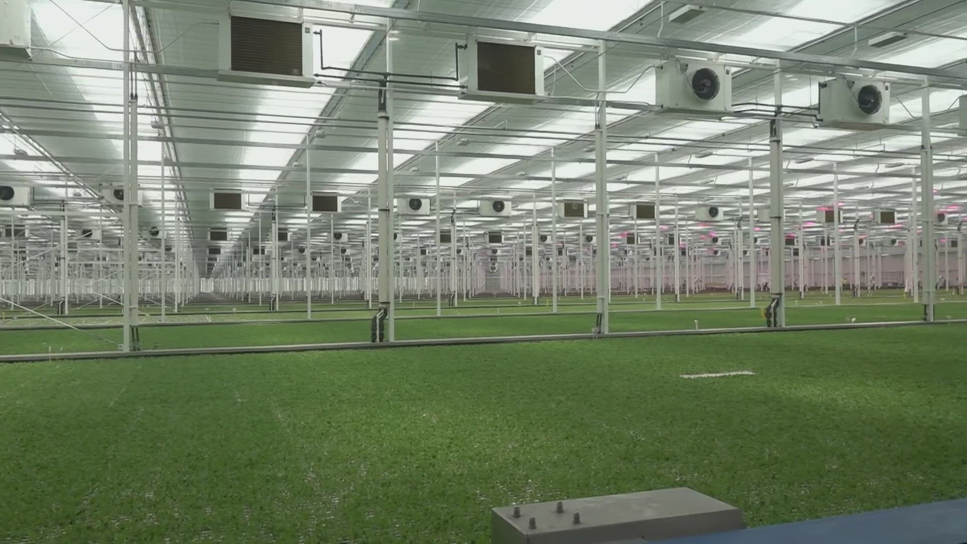 Revol Greens is a state-of-the-art facility that can produce 17 million pounds of greens annually and is expected to being over 100 jobs to the area.