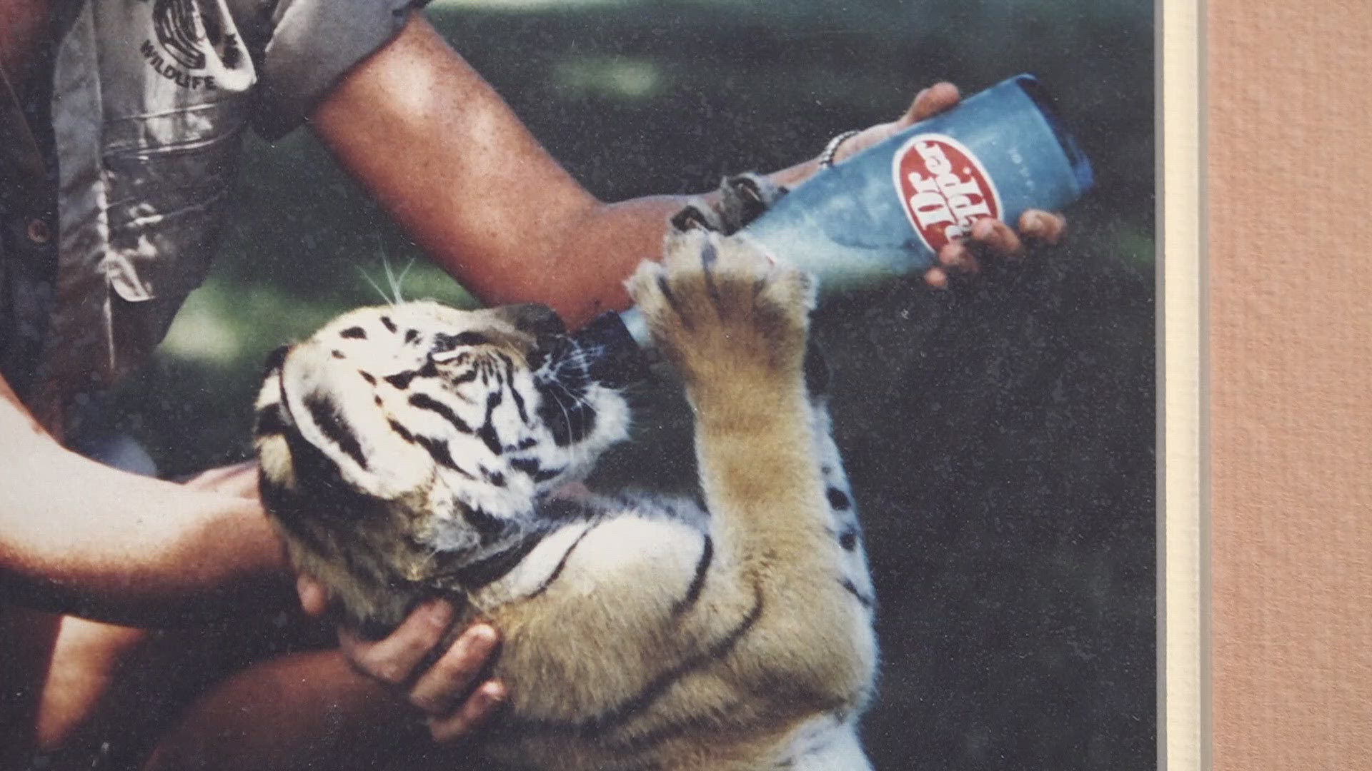 Dr Pepper Museum sets all-time attendance record in 2025 | kcentv.com