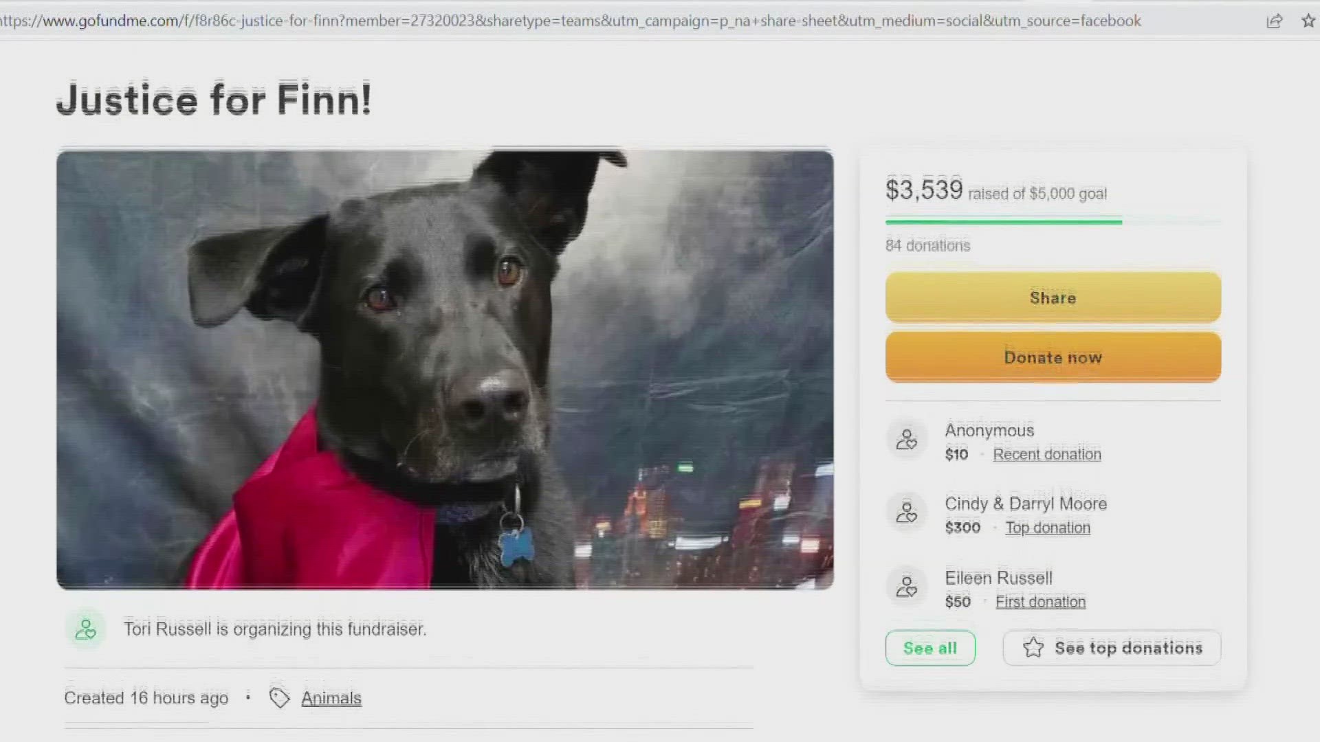 According to a GoFundMe, a friend of the dog's owners started a fundraiser to help them hire a lawyer.
