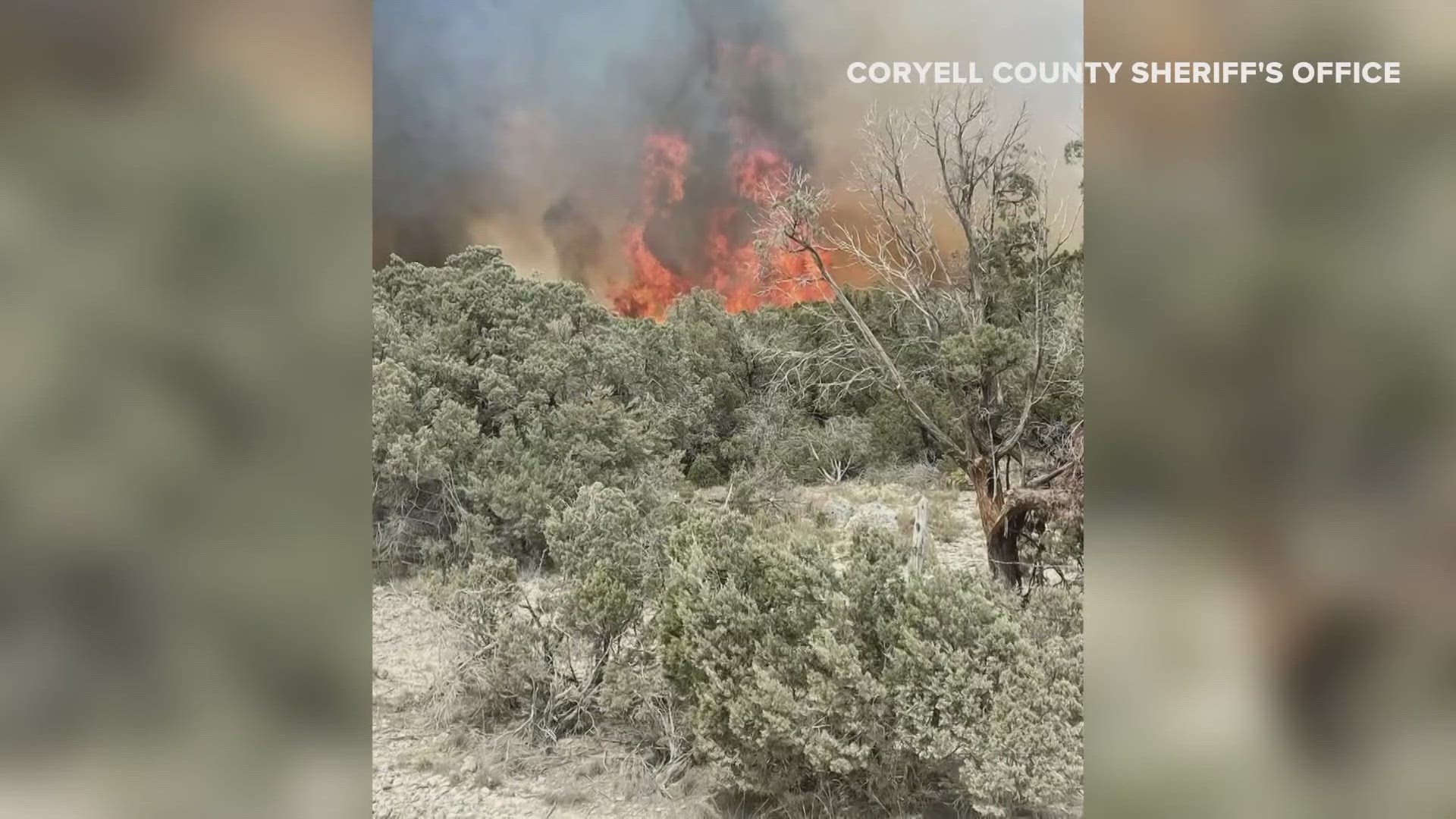 Bell, McLennan and Coryell Counties were all hit by grass fires on Aug. 22, with some even forcing evacuations.