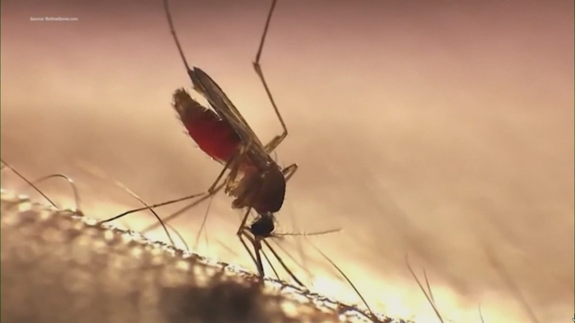 Texas News | What is West Nile virus? - Vimarsana News