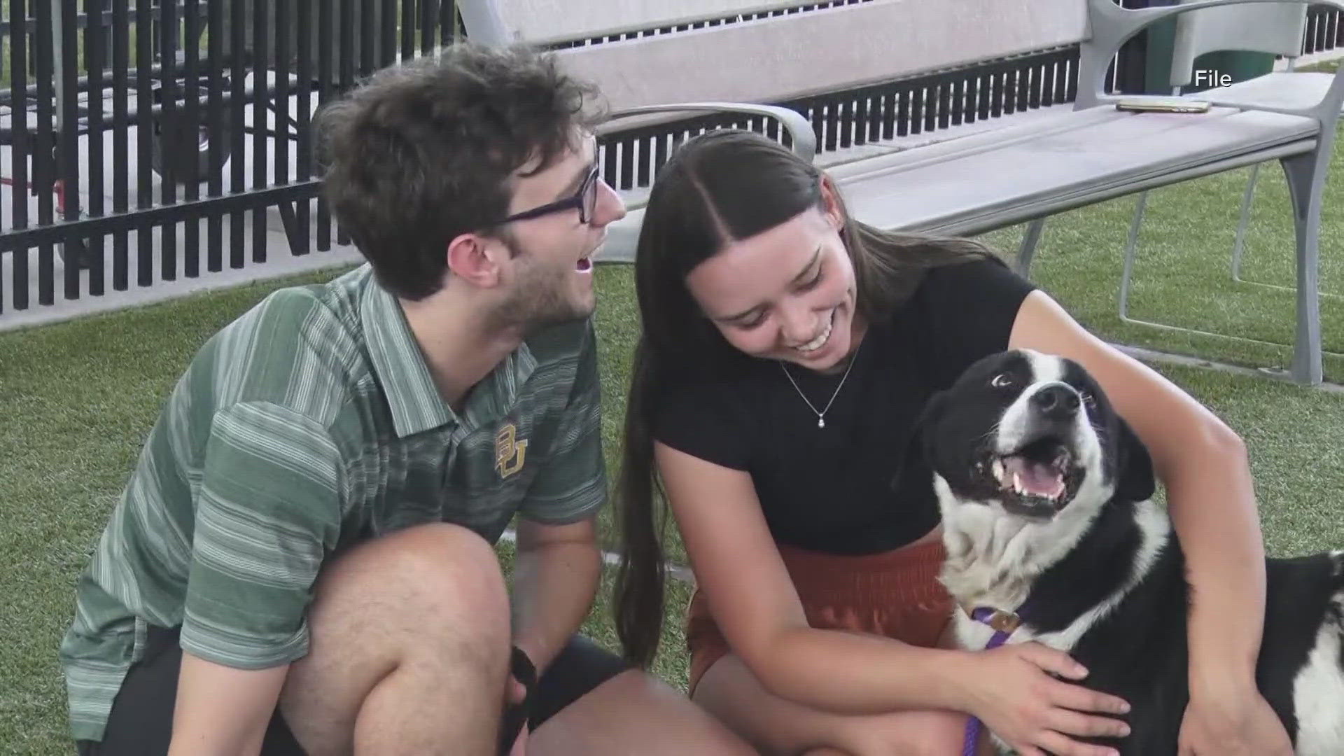 The shelter urges the community to help adopt as soon as possible. 