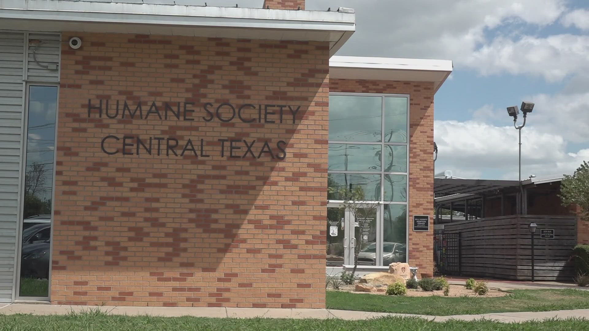 The Humane Society of Central Texas pointed to changes in leadership at the Waco Animal Shelter that led to "a decline in the quality of animal care."