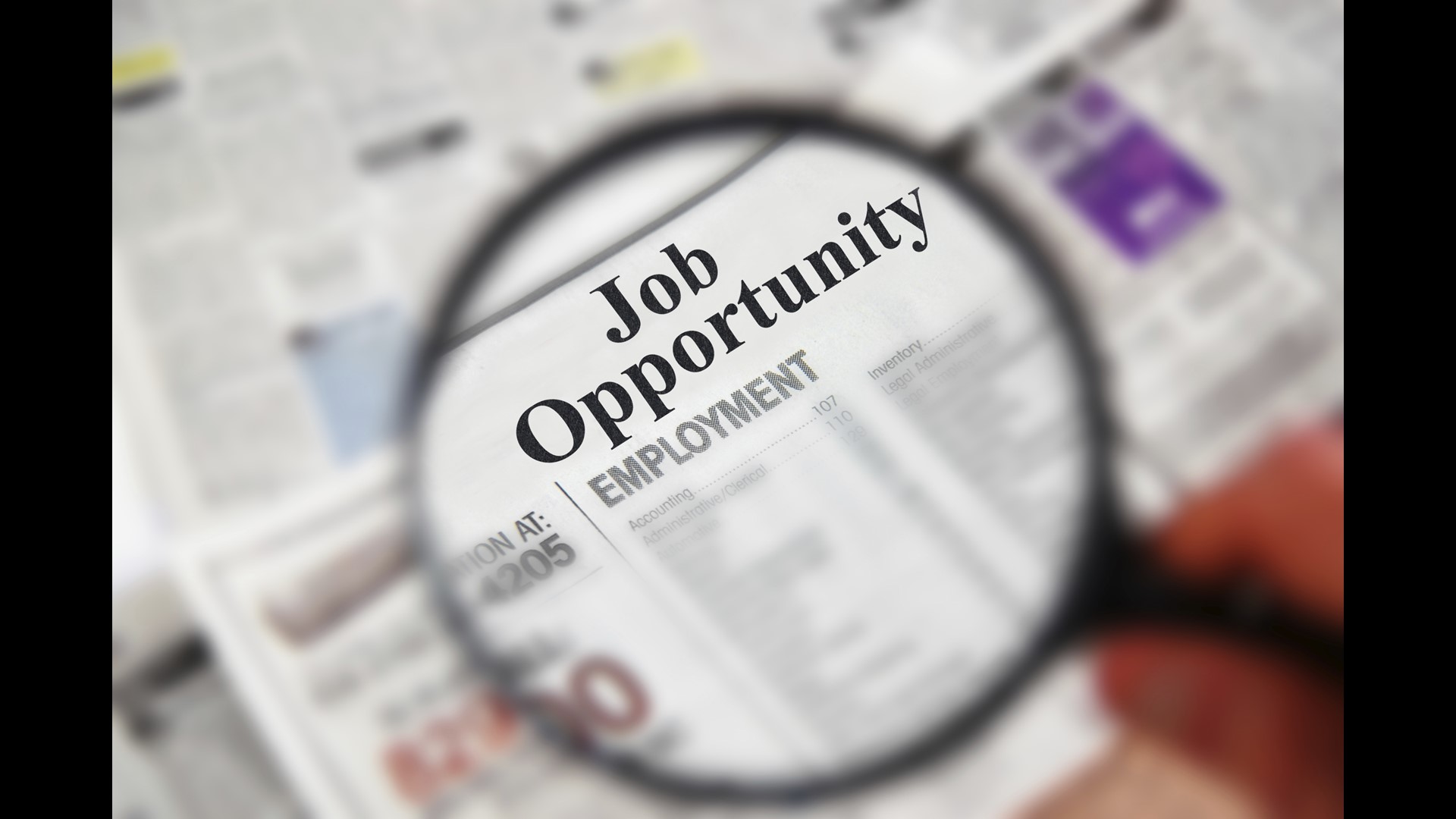 Seasonal job postings have popped up on city websites and could be good opportunities for students.