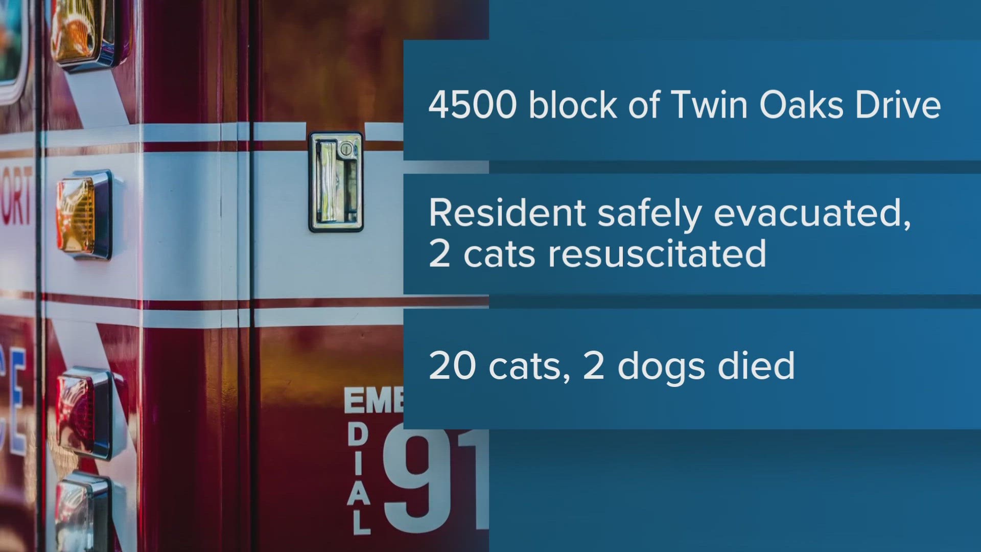 The Killeen Fire Department said two cats were able to be revived.